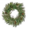 25" To 36" Wreath-National Tree Company 28" Hgtv Home Collection Pre-Lit Black Tie Cedar Wreath