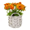 Flower Bouquets-National Tree Company 10" Orange Anemone Flower Bouquet In White Basket