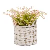 Flower Bouquets-National Tree Company 11" Pink Lily-Of-The-Valley Flowers In White Basket