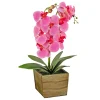 Potted Flower Plants-National Tree Company 21" Pink Orchid Flower In Wood Box