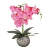 National Tree Company Potted Flower Plants^21" Potted Pink Orchid Flower