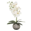 Potted Flower Plants-National Tree Company 21" Potted White Orchid Flower