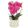 National Tree Company Potted Flower Plants^21" Purple Orchid Flower In White Basket