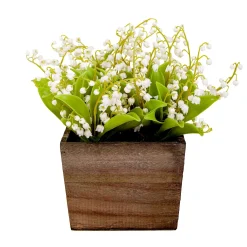 Potted Flower Plants-National Tree Company 10" White Lily-Of-The-Valley Flowers In Wood Box