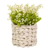 Flower Bouquets-National Tree Company 11" White Lily-Of-The-Valley Flowers In White Basket