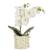 Potted Flower Plants-National Tree Company 21" White Orchid Flower In White Basket