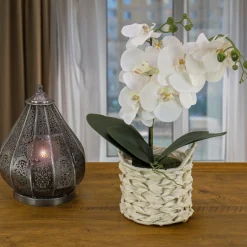 Potted Flower Plants-National Tree Company 21" White Orchid Flower In White Basket
