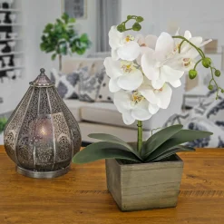 Potted Flower Plants-National Tree Company 21" White Orchid Flower In Wood Box