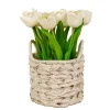 Flower Bouquets-National Tree Company 10" White Tulip Bouquet In White Basket