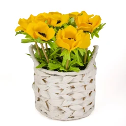 Flower Bouquets-National Tree Company 10" Yellow Anemone Flower Bouquet In White Basket