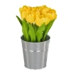 National Tree Company Potted Flower Plants^9" Yellow Tulip Bouquet In Metal Pot