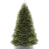 Unlit-National Tree Company Artificial Full Christmas Tree, Green, Dunhill Fir, Includes Stand, 10 Feet