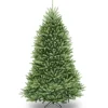 National Tree Company Full^Artificial Full Christmas Tree, Green, Dunhill Fir, Includes Stand, 6 Feet
