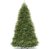 Unlit-National Tree Company Artificial Full Christmas Tree, Green, Dunhill Fir, Includes Stand, 14 Feet