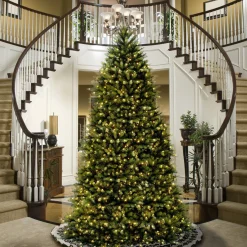 Unlit-National Tree Company Artificial Full Christmas Tree, Green, Dunhill Fir, Includes Stand, 14 Feet