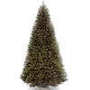 Unlit-National Tree Company Artificial Giant Christmas Tree, Green, North Valley Spruce, Includes Stand, 10 Feet