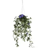 Hanging Flower Plants-National Tree Company Artificial Hanging Basket, Morning Glory, Decorated With Blue Flower Blooms, Long Green Vines, Includes Plastic Pot Base And Hanging Loop, Spring Collection, 44 Inches