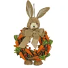 Easter Wreath-National Tree Company Artificial Hanging Wreath, Foam Ring Base, Decorated With Bunny, Carrots, Vines, Leafy Greens, Easter Collection, 20 Inches