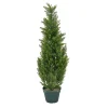Topiaries / Shurbs-National Tree Company Artificial Mini Tree Decoration, Cedar, Includes Green Pot Base, Spring Collection, 38 Inches