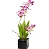 Potted Flower Plants-National Tree Company Artificial Potted Flowers, Purple Orchids, Includes Black Base, Spring Collection, 16 Inches