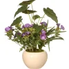 Potted Flower Plants-National Tree Company Artificial Potted Plant, Decorated With Purple Flower Blooms, Flowing Stems, Includes Cream Ceramic Pot Base, Spring Collection, 18 Inches