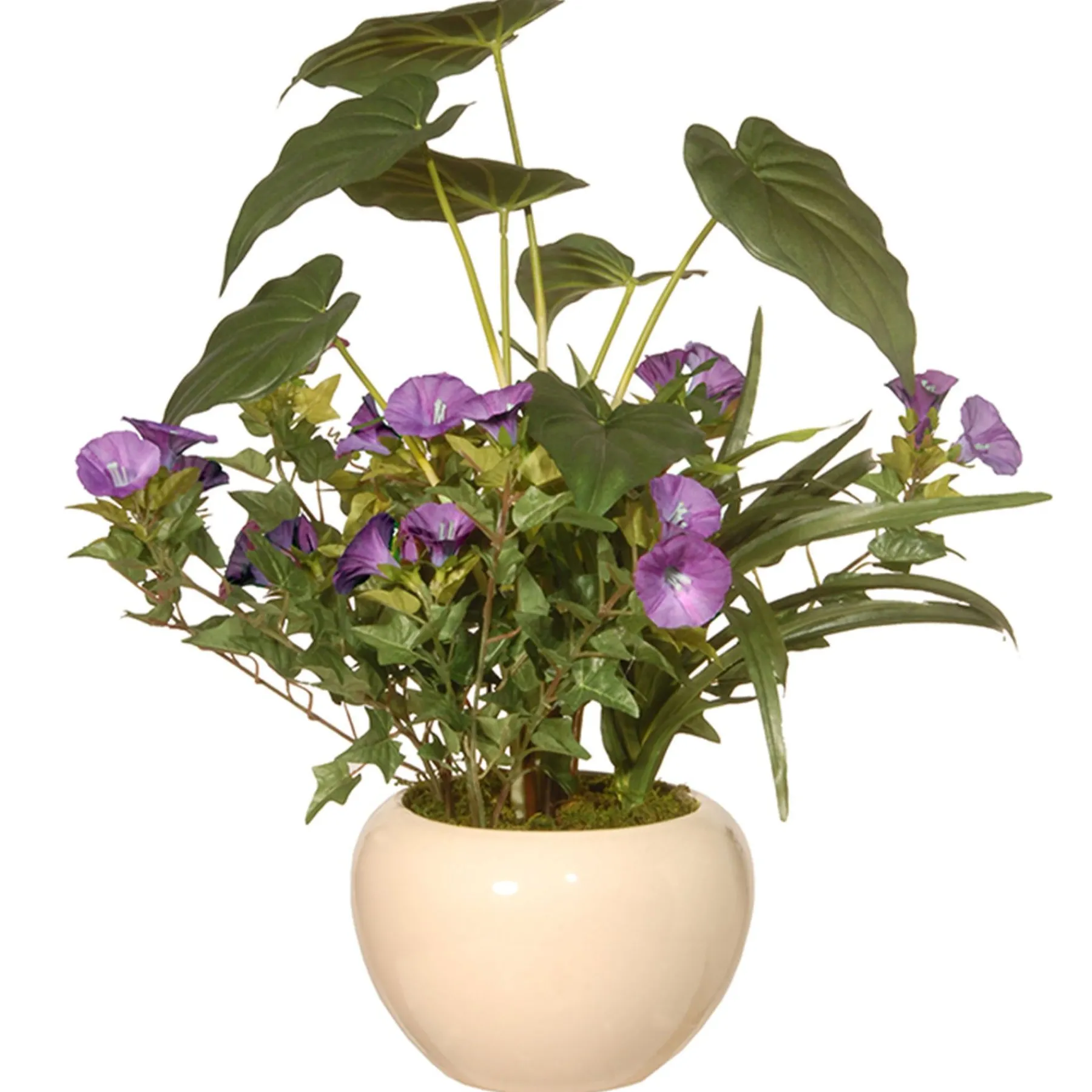 Potted Flower Plants-National Tree Company Artificial Potted Plant, Decorated With Purple Flower Blooms, Flowing Stems, Includes Cream Ceramic Pot Base, Spring Collection, 18 Inches