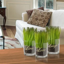 Potted Plants-National Tree Company Artificial Potted Plant Set, Green Plant Sprouts, Square Glass Pot Base With Messages, Pack Of 3, Spring Collection, 6 Inches Each