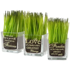 Potted Plants-National Tree Company Artificial Potted Plant Set, Green Plant Sprouts, Square Glass Pot Base With Messages, Pack Of 3, Spring Collection, 7 Inches Each