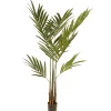 Potted Plants-National Tree Company Artificial Potted Tree, Kentia Palm, Decorated With Leaves, Simulated Soil, Includes Black Pot Base, Spring Collection, 4 Feet