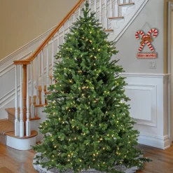 Warm White Led-National Tree Company Artificial Rockport Christmas Tree, Pre-Lit With Powerconnect Warm White Led Lights, Plug In, 7.5 Ft