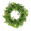 Greenery Wreaths-National Tree Company Artificial Wreath Decoration, Green, Woven Branch Base, Decorated With Ivy And Fern Leaves, Seed Pods, Flowing Green Stems, Spring Collection, 24 Inches