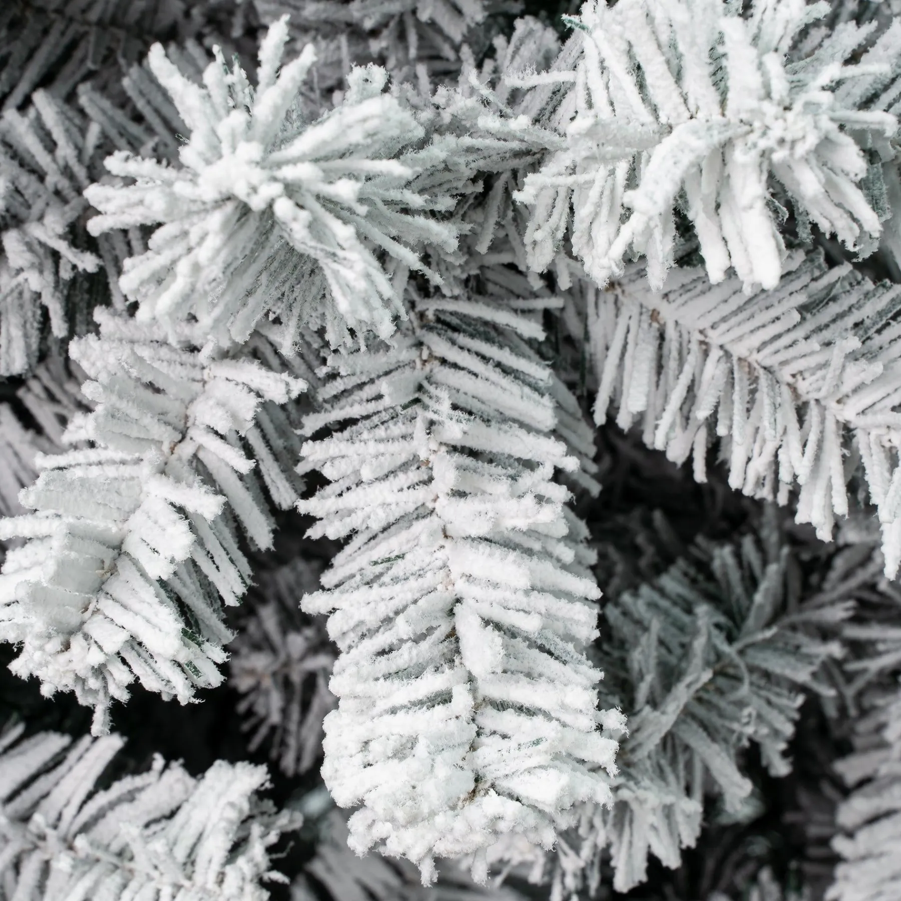 Full-National Tree Company First Traditions 7.5 Ft. Acacia Flocked Tree