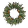 21" To 24" Wreath-National Tree Company First Traditions Collection, 24" Pre-Lit Artificial North Conway Wreath With Glittery Cones And Eucalyptus