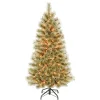 Clear-National Tree Company First Traditions Pre-Lit Arcadia Pine Cashmere Christmas Tree, Clear Incandescent Lights, Plug In, 4.5 Ft