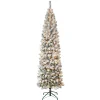 National Tree Company Slim^First Traditions Pre-Lit Acacia Flocked Tree Slim Christmas Tree, Clear Incandescent Lights, Plug In, 7.5 Ft
