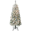 Clear-National Tree Company First Traditions Pre-Lit Acacia Flocked Tree Medium Christmas Tree, Clear Incandescent Lights, Plug In, 4.5 Ft