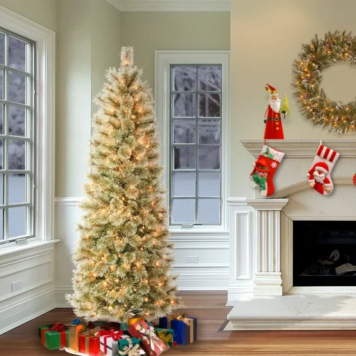 5Ft - 6Ft-National Tree Company First Traditions Pre-Lit Arcadia Pine Cashmere Slim Christmas Tree, Clear Incandescent Lights, Plug In, 6 Ft