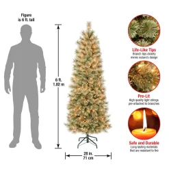 5Ft - 6Ft-National Tree Company First Traditions Pre-Lit Arcadia Pine Cashmere Slim Christmas Tree, Clear Incandescent Lights, Plug In, 6 Ft