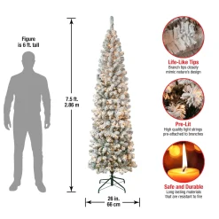 7Ft - 9Ft-National Tree Company First Traditions Pre-Lit Acacia Flocked Tree Slim Christmas Tree, Clear Incandescent Lights, Plug In, 7.5 Ft