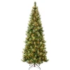 7Ft - 9Ft-National Tree Company First Traditions Pre-Lit Charleston Pine Snowy Slim Christmas Tree, Clear Incandescent Lights, Plug In, 9 Ft