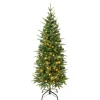 National Tree Company Full^First Traditions Pre-Lit Duxbury Slim Christmas Tree With Hinged Branches, Warm White Led Lights, Plug In, 4.5 Ft