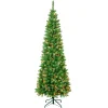 7Ft - 9Ft-National Tree Company First Traditions Pre-Lit Rowan Pencil Slim Christmas Tree, Multicolor Incandescent Lights, Plug In, 7.5 Ft