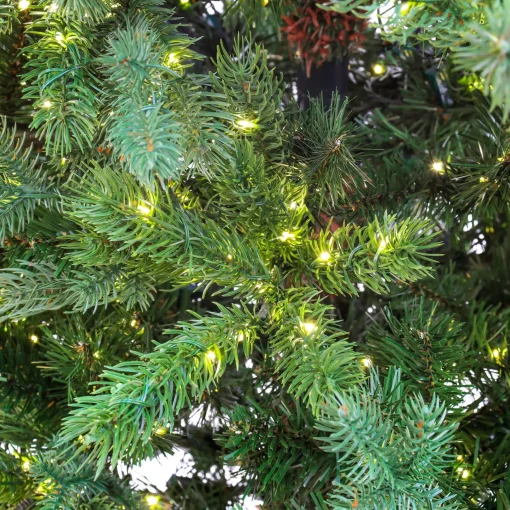 Warm White Led-National Tree Company 10Ft Pre-Lit Artificial Feel Real Lark Pine Medium Hinged Tree, 5320 Warm White Led Rice Lights- Ul