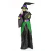 Halloween Animated Decoration-National Tree Company Halloween Pre Lit Animated Wicked Witch, Black, Sound Activated, Led Lights, Battery Operated, 6 Feet