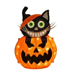 Halloween Outdoor Decoration-National Tree Company Halloween Pre Lit Lighted Sign Decoration, Orange, Pumpkin And Black Cat, Led Lights, Battery Operated, 23 Inches