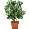 Potted Plants-National Tree Company 30"Hosta Plant In Brown Round Growers Pot