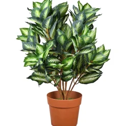 Potted Plants-National Tree Company 30"Hosta Plant In Brown Round Growers Pot