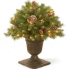 Christmas Greenery-National Tree Company 24In Frosted Berry Porch Bush With Clear Lights