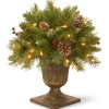 Christmas Greenery-National Tree Company 18In Frosted Berry Porch Bush With Clear Lights