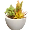 National Tree Company Potted Plants^ Artificial Potted Plant, Decorated With Various Green Succulents, Includes Stylish White Ceramic Base, Spring Collection, 8 Inches